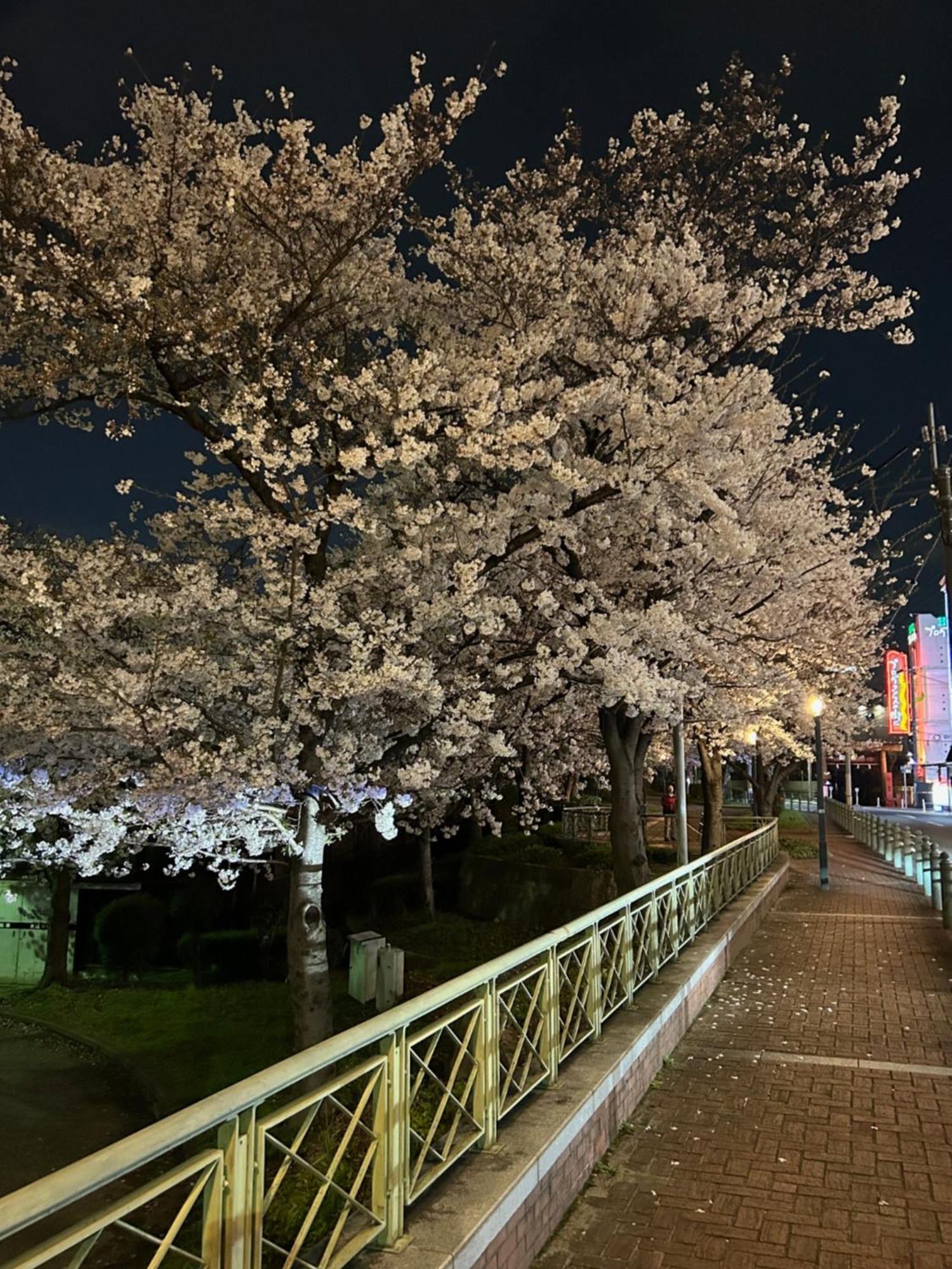 Hotel do amor Noah Grande (adults Only) Osaka