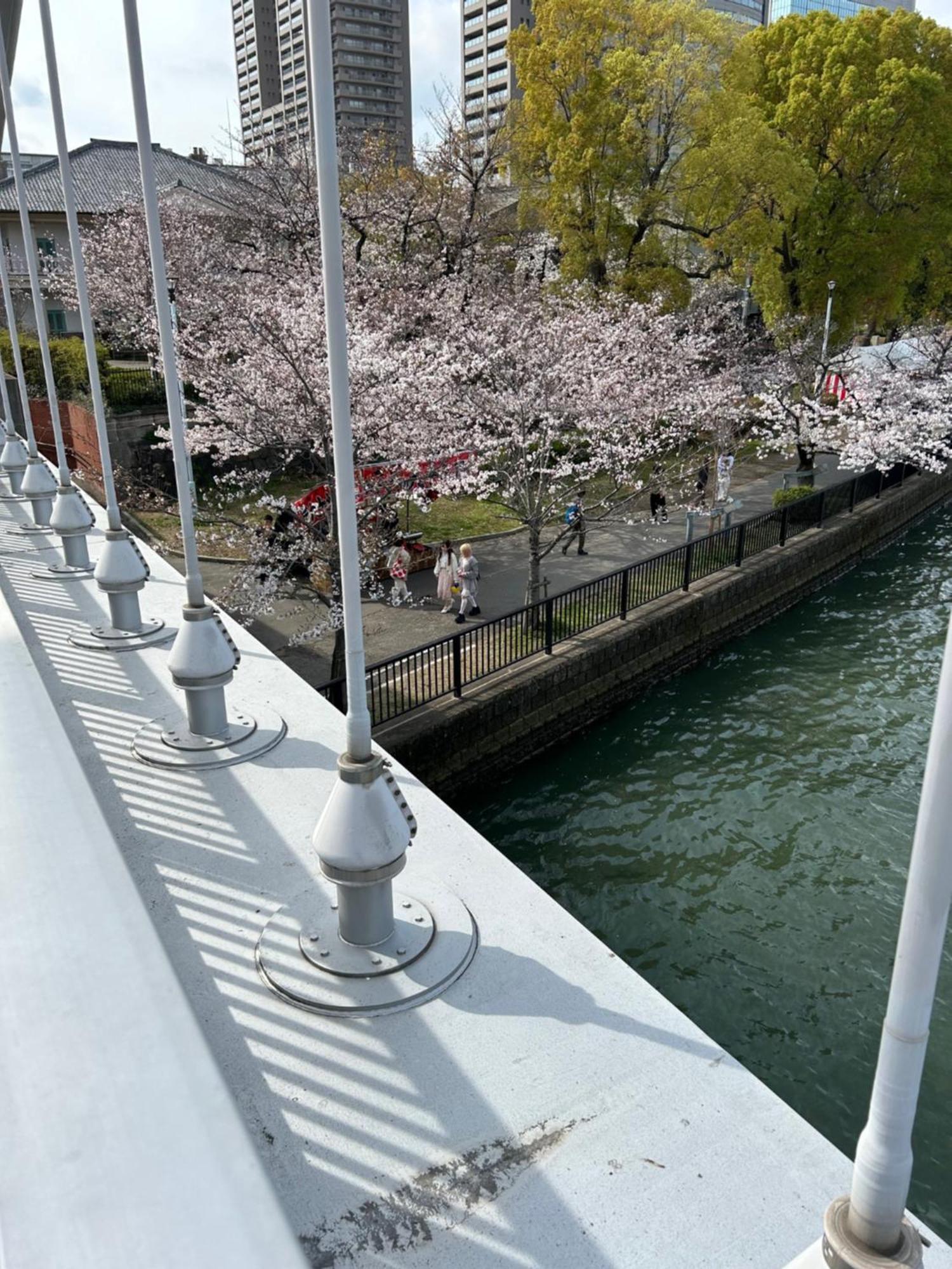Noah Grande (adults Only) * Ōsaka